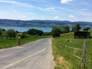 mk体育官网下载-“缆绳滑水：东桃花岛赛场呈现全新水上运动魅力”