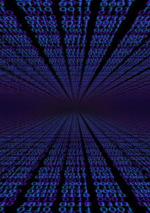 mk体育娱乐-体育新闻中心亮相世界体育科技大会，2020国际体育十大新闻