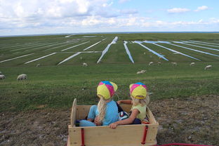 mk体育官网首页-青少年足球训练方法现代化，青少年足球技术